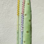 la Nina, arcobaleno